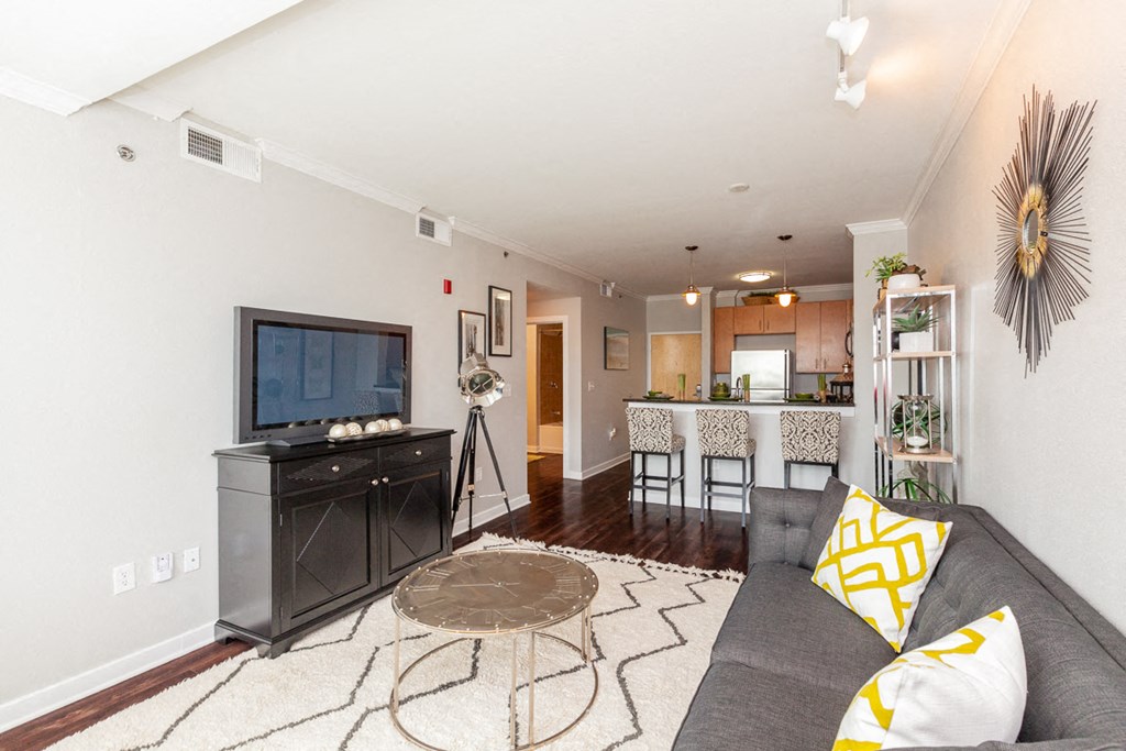 Living Room With Television at 45 Madison Apartments, Missouri, 64111