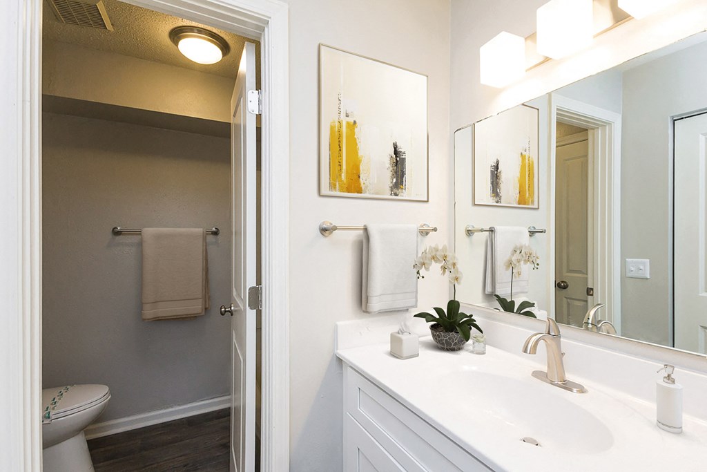 a bathroom with a sink and a mirror and a toilet at Palmetto Place Apartments, Taylors, 29687