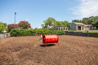 Dog Park Dog Park at Edgemont Apartments, PRG Real Estate, Greenville, SC - Photo Gallery