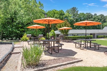 BBQ BBQ at South Square Townhomes, Durham, North Carolina - Photo Gallery 6