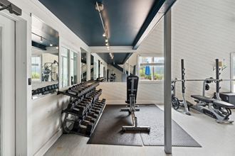 the gym the gym at the adelphi condos in sarasota, fl