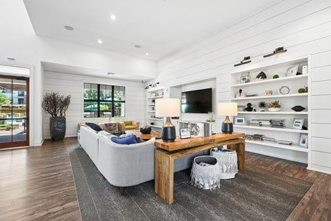 A modern living room with a grey sofa, wooden coffee table, and a grey rug.