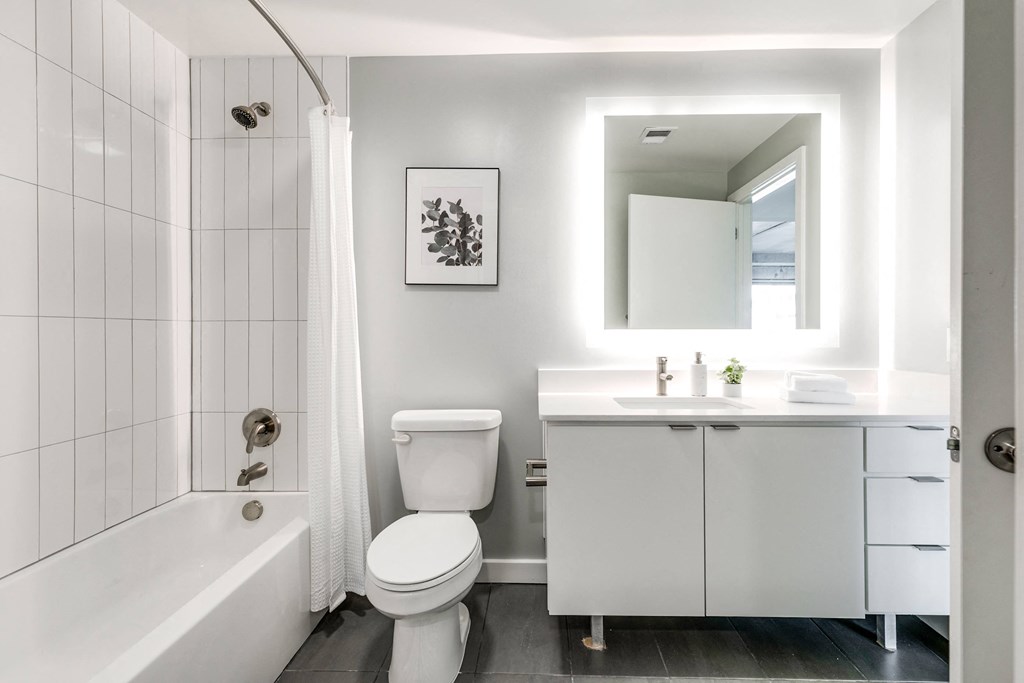 Luxurious Bathroom at The Locks Tower, Richmond, 23219