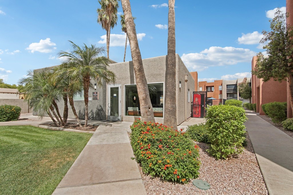 A building with a red door is surrounded by palm trees and bushes at Candela Park Apartments, Arizona