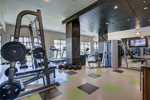 State of the Art Fitness Room