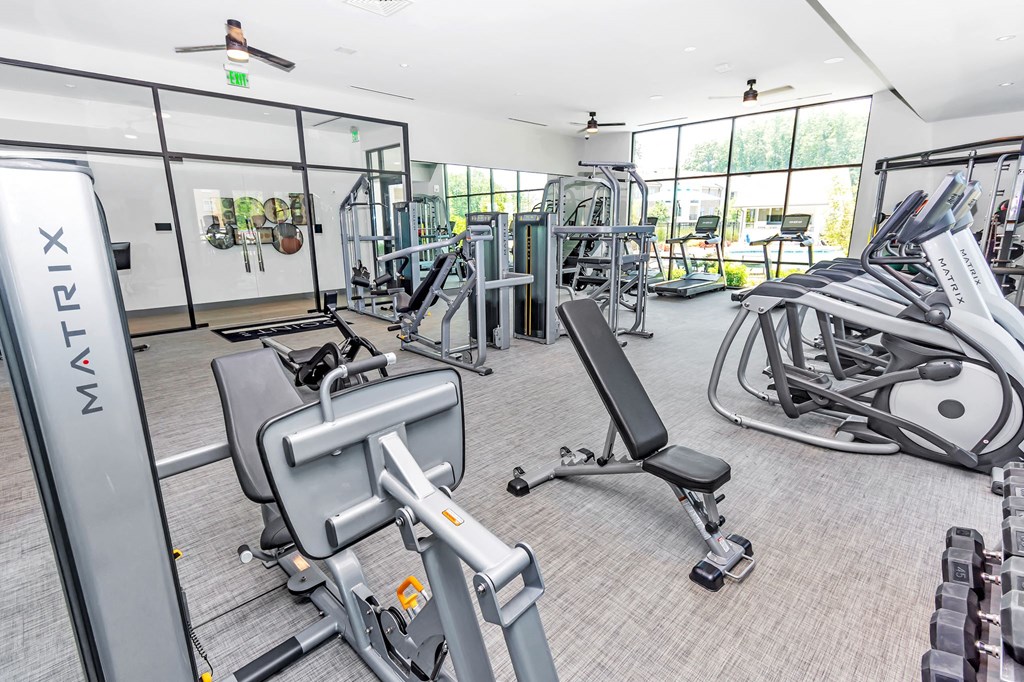 the gym is equipped with state of the art equipment including treadmills and weights