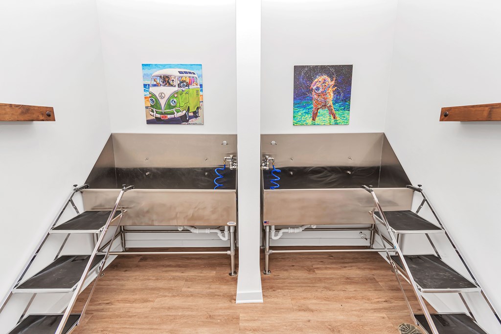 A room with two pet wash beds and pictures on the wall.