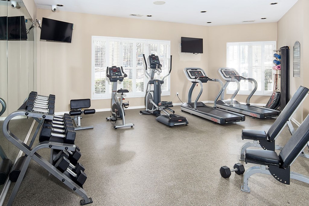 A spacious gym with a variety of equipment including treadmills, stationary bikes, and weight machines.