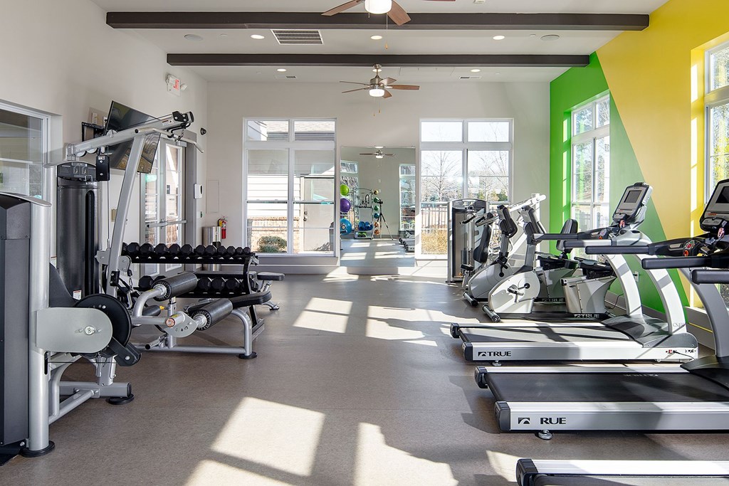 A gym with treadmills, elliptical machines, and dumbbells.