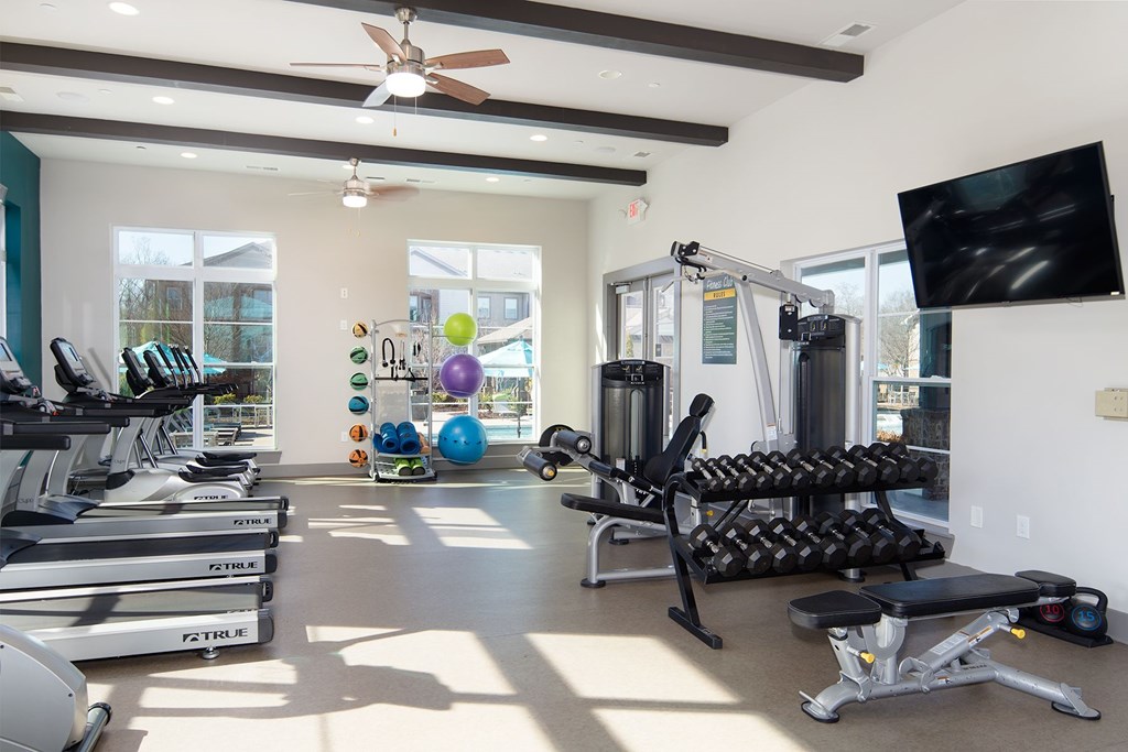 A gym with a variety of equipment including treadmills, weights, and a television.