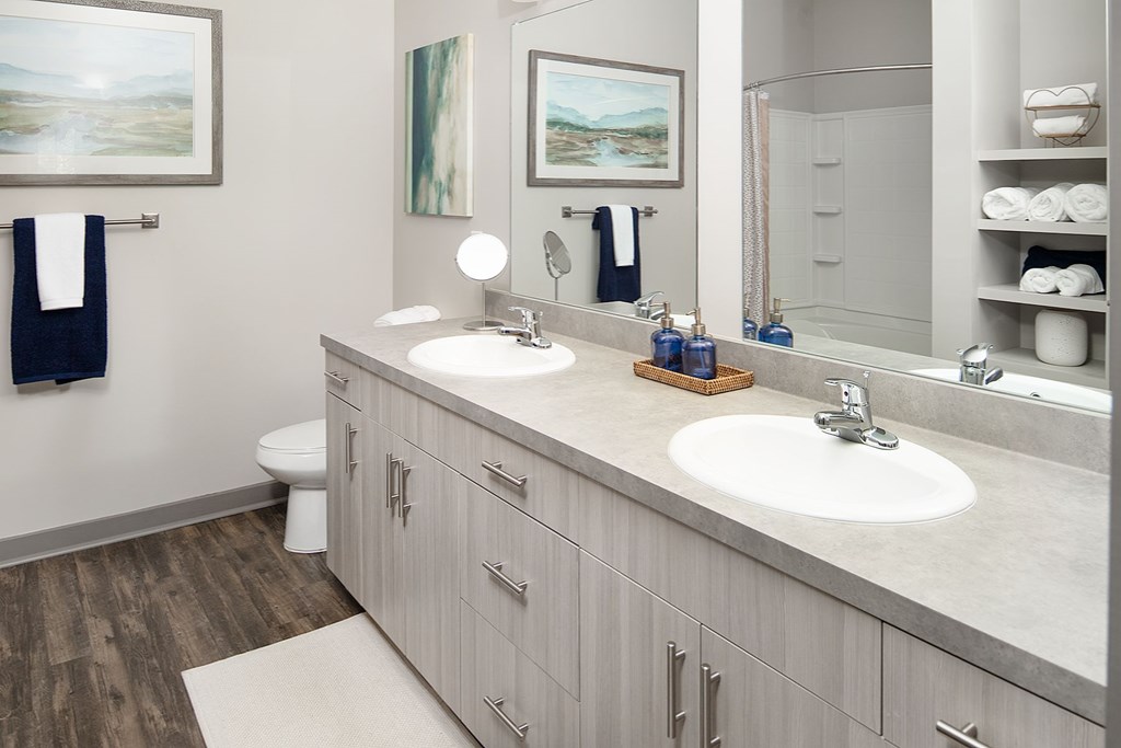 A bathroom with two sinks and a toilet.