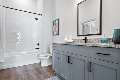 a bathroom with a sink and a toilet and a shower