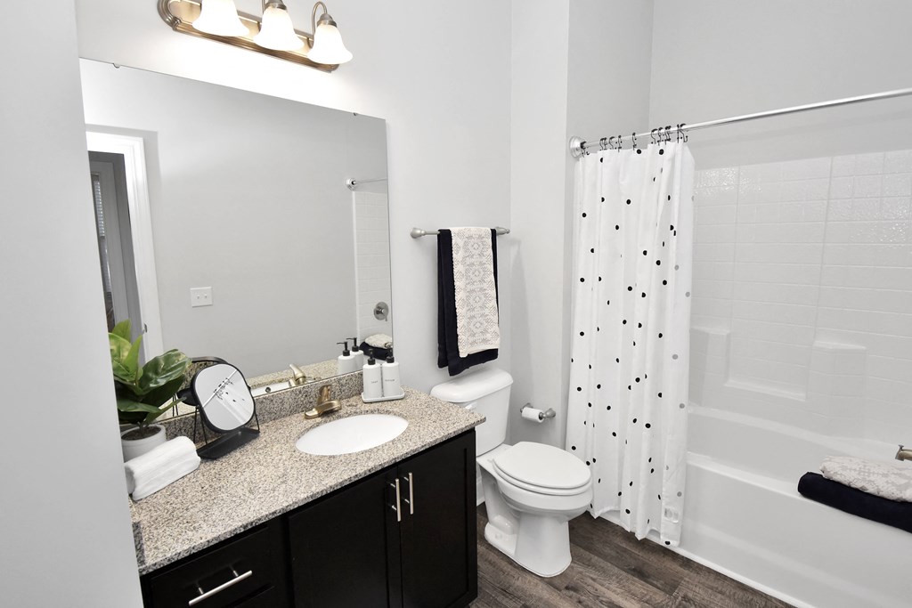 a bathroom with a shower toilet and sink and a mirror