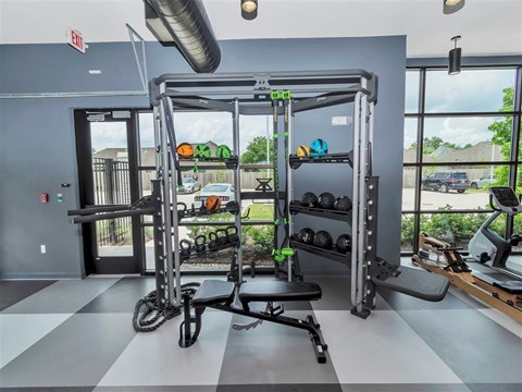 Weighted balls and kettlebell weights lines on gym shelves in front of a large glass window