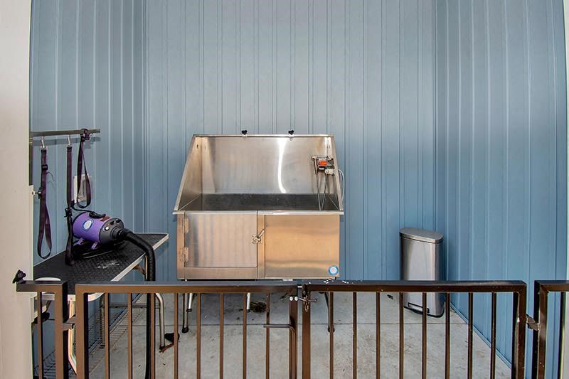 a pet washing station