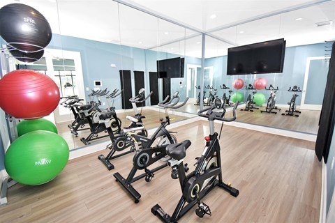 Gym with Exercise Equipment at GRANDVIEW AT CLEAR POND APARTMENTS, South Carolina