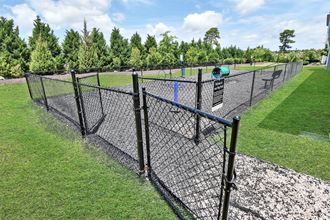 a dog park with agility courses and agility ropes