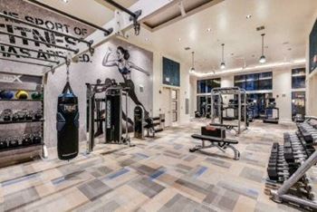Gym Rax Multi-Functional Training Zone with Boxing and TRX Extensions