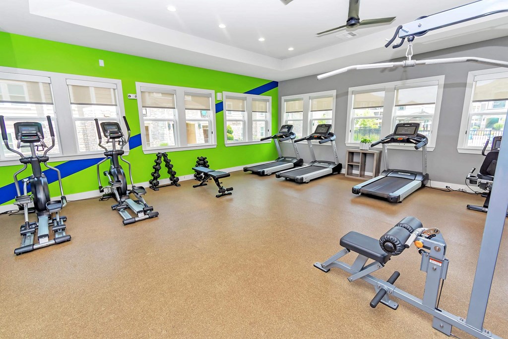 a large fitness room with treadmills and other exercise equipment