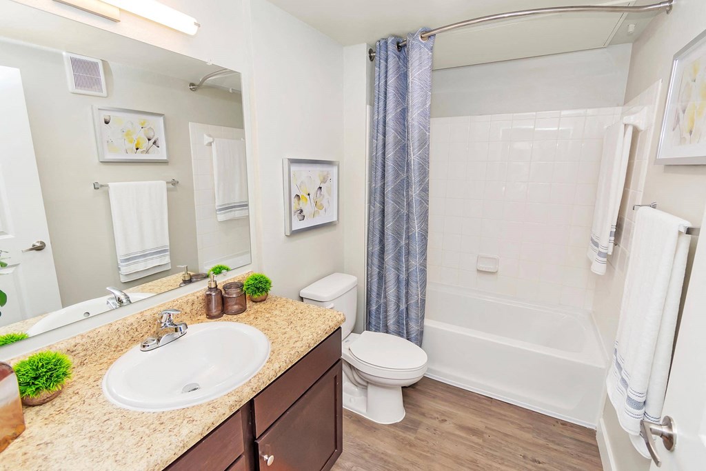 our apartments offer a bathroom with a bathtub