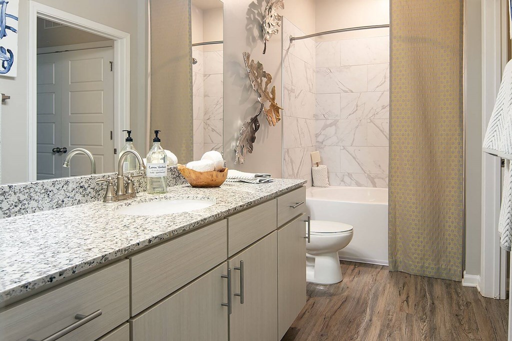 a bathroom with a sink and a toilet and a shower