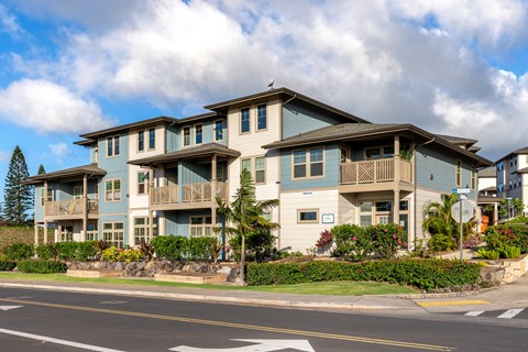 A row of houses with balconies and flower pots in front.