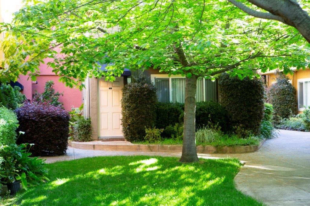 a house with a tree in front of it