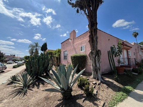 A pink house with a tree in front of it.