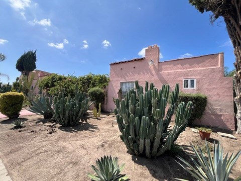 A pink house with a cactus in front.