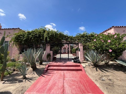 A red carpet leads to a building entrance.