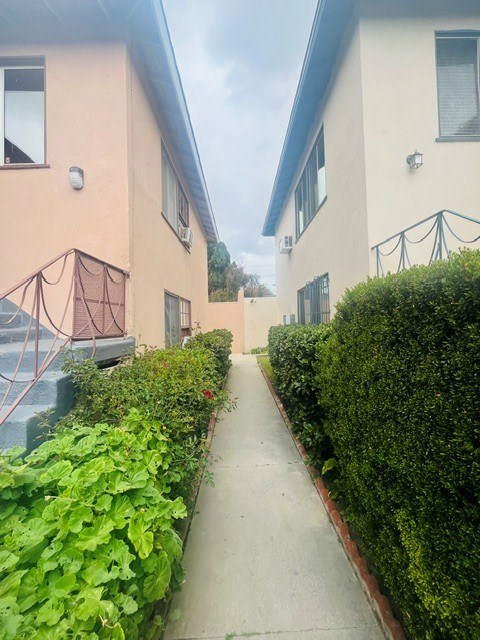 A narrow pathway between two buildings with green shrubbery on the sides.