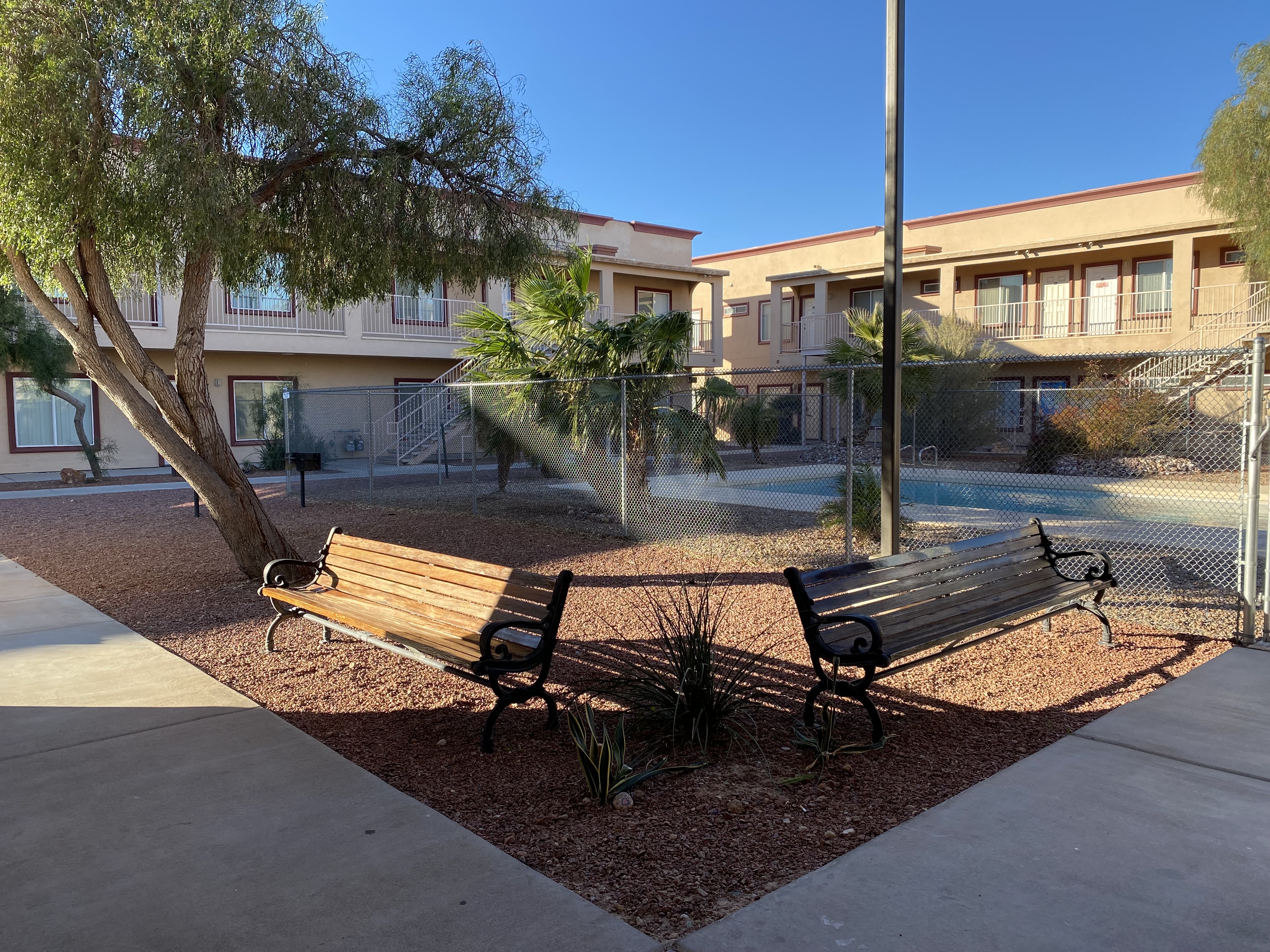 Two wooden benches are situated in a courtyard with a tree and a building in the background.