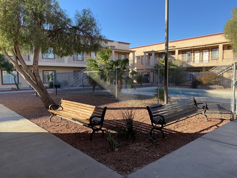 Two wooden benches are situated in a courtyard with a tree and a building in the background.