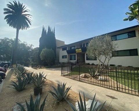 A sunny day at a residential area with a house, trees, and a palm tree.