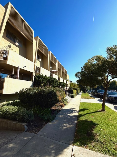 A row of apartment buildings with a tree and parked cars.
