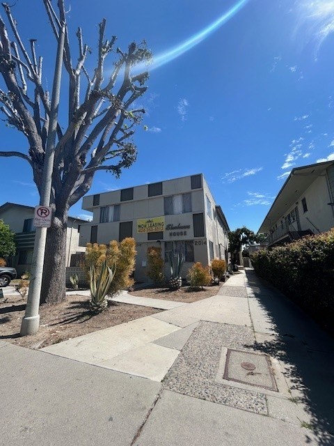 A tree with a no parking sign on a pole.
