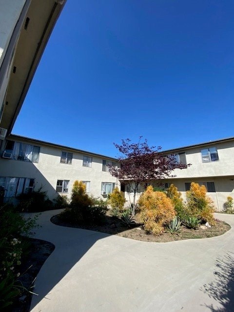 A building with a clear blue sky above it and some plants in front.