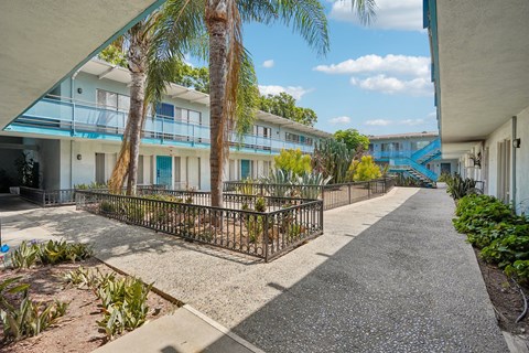 A sunny day at a residential area with a pathway and palm trees.