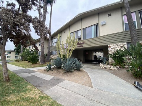 A building with a cactus in front of it.