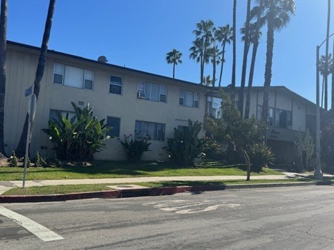 A building with a white facade and a row of palm trees in front of it.