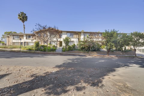 A large building with a palm tree in front of it.