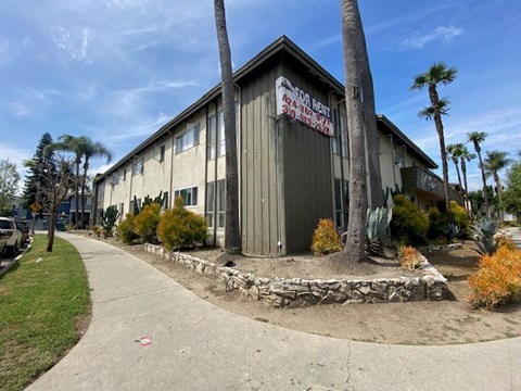 A building with a sign that says "Sea Breeze" is surrounded by palm trees.