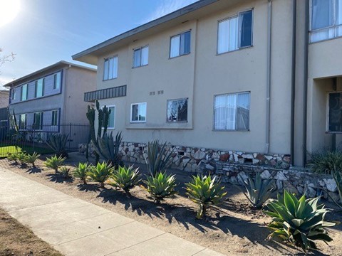 A sunny day with a building and a row of agave plants in front.