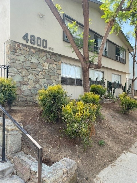 A house numbered 4800 with a stone wall and a tree in front.