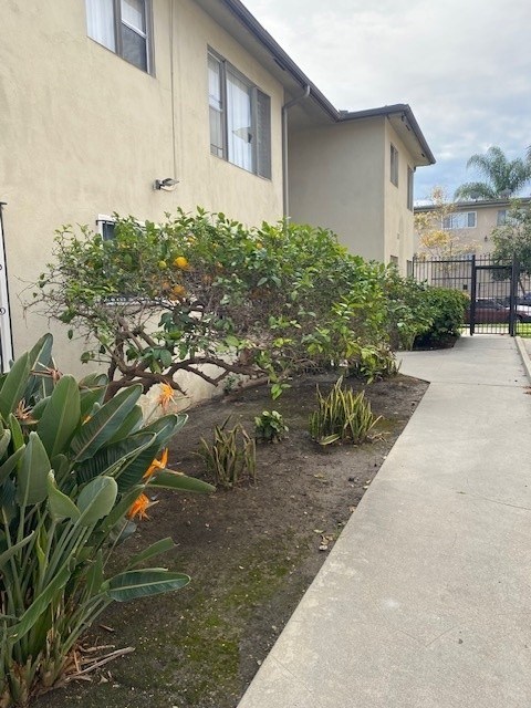 A beige house with a grey walkway and green plants.