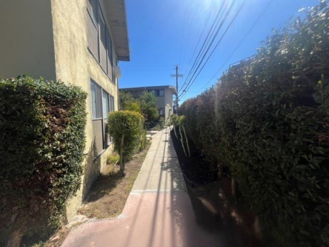 A narrow street with a sidewalk on both sides, bordered by houses and hedges.