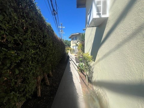 A narrow alley with a hedge on one side and a building on the other.