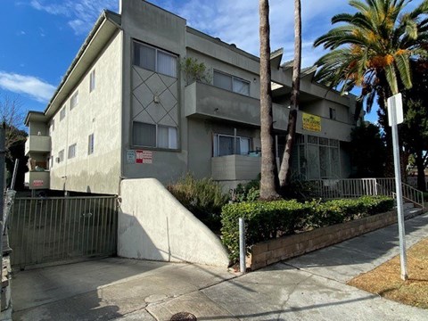 A concrete building with a palm tree in front.