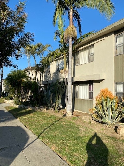 A tall palm tree stands in front of a beige building.