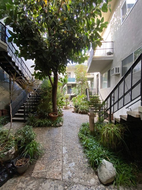 A pathway with a tree and plants on both sides.